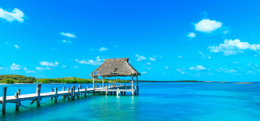 beautiful tropical sea