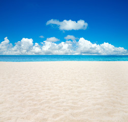 beautiful beach and tropical sea