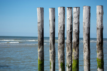 Naklejka premium Groynes at the Sea