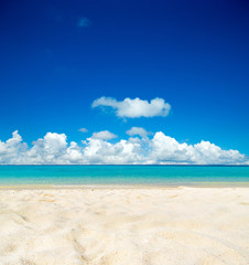 Fototapeta premium beautiful beach and tropical sea