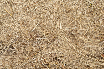 Macro texture of crushed dry grass,straw in the sun.