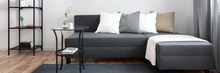 Contemporary living room with sofa