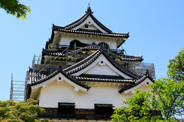 彦根城　改装中の彦根城　国宝彦根城　彦根城閣