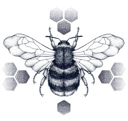 Striped honey bee sits on honeycombs. Tattoo.T-shirt illustartion