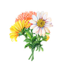 Watercolor Bouquet of chrysanthemums on a white background.Summer,autumn floral illustration of yellow flowers