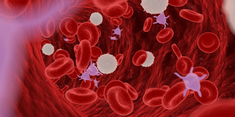 3d rendered medically accurate illustration of blood cells in a human artery