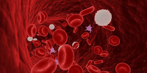 3d rendered medically accurate illustration of blood cells in a human artery