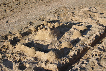 sand castle on the seashore