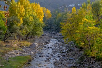 A river in yellow autumn trees