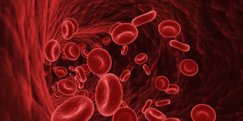 3d rendered medically accurate illustration of blood cells in a human artery - obrazy, fototapety, plakaty