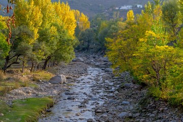 A river in yellow autumn trees