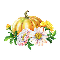 Orange pumpkin,chrysanthemums. Watercolor illustration with flower,green leaves on white background. Autumn harvest.