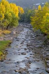 A river in yellow autumn trees