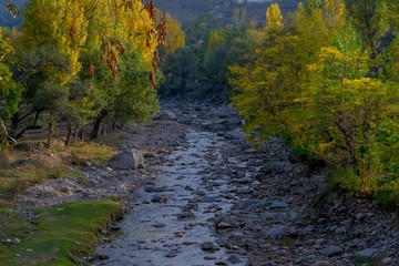A river in yellow autumn trees