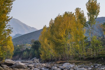 Autumn trees reflections in a lake