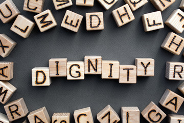 the word dignity wooden cubes with burnt letters, respect in society, gray background top view, scattered cubes around random letters