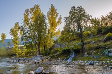 Autumn trees reflections in a lake