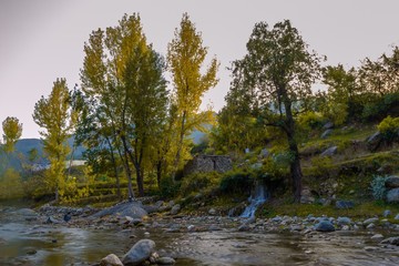 Autumn trees reflections in a lake