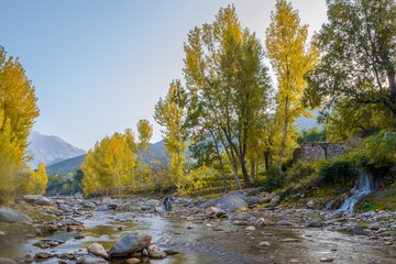 Autumn trees reflections in a lake