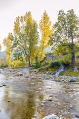 Autumn trees reflections in a lake