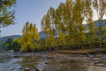 Autumn trees reflections in a lake