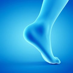 3d rendered medically accurate illustration of a walking foot