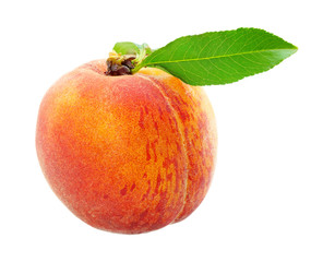 Design Element Ripe Juicy Peach with Leaf Isolated on White Background.