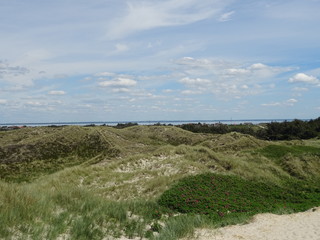 Dunes off Denmark