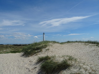Dunes off Denmark