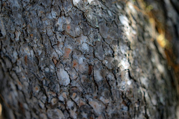 texture of old stone wall, mediterranean
