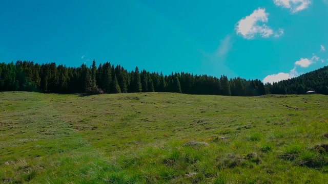Prato di malga