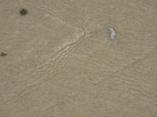 Wasser und Sand