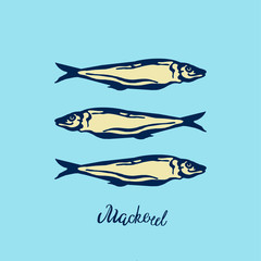 Hand Drawn blue yellow color illustration group of Atlantic mackerel fish and lettering on light blue  background.Design for print, wallpaper, card, menu, market