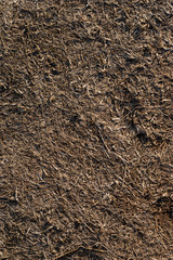 Texture of trampled, dry grass dried from heat