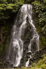 Waterfall in natural park, Nordeste, Sao Miguel