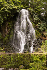Waterfall in natural park, Nordeste, Sao Miguel