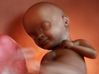 3d rendered medically accurate illustration of a black fetus