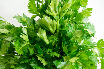 A close up of a bunch of celery