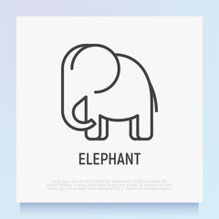 Cartoon elephant thin line icon. Modern vector illustration.
