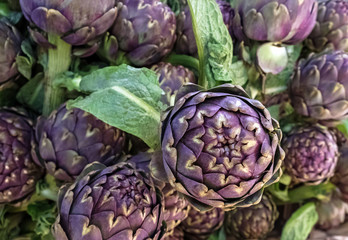 Close-up shot of purple artichokes on the market
