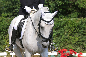 Unknown dressage rider sits on her stallion during race
