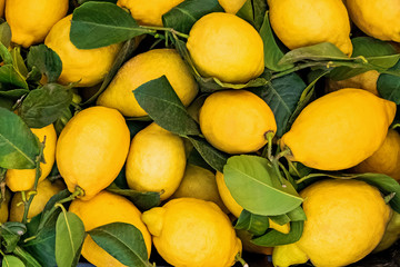 Fresh juicy lemons on the farmers market - obrazy, fototapety, plakaty