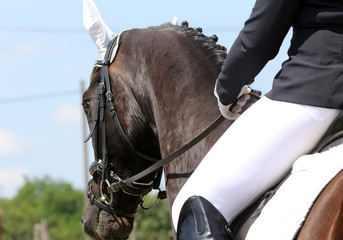 Unknown dressage rider sits on her stallion during race