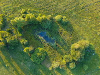 Fototapeta na wymiar Overgrown pond from the height of the quadcopter in summer