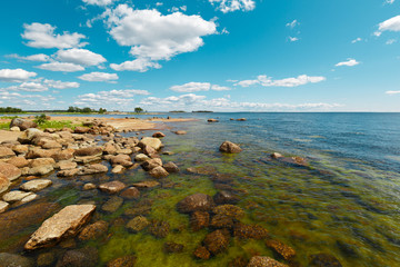 Fototapeta na wymiar Coast of the Gulf of Finland on a clear sunny summer day. Clear water and clouds