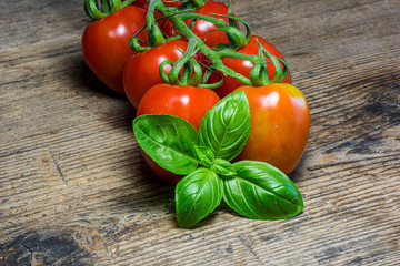 Fresh tomatoes on wood background