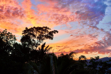 Colourful sunset over trees and mountains in a summer time