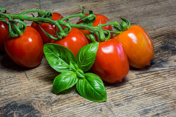 Fresh tomatoes on wood background