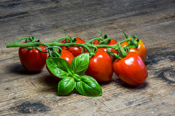 Fresh tomatoes on wood background