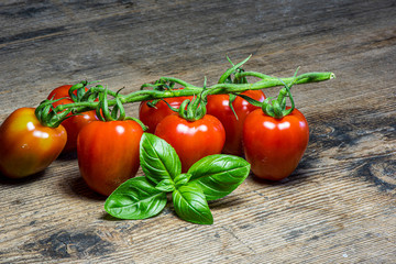 Fresh tomatoes on wood background